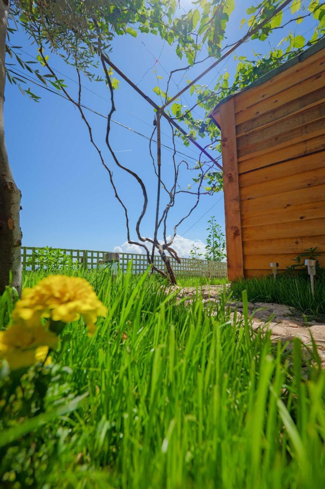 Vila Fjona Sarandë Exterior foto